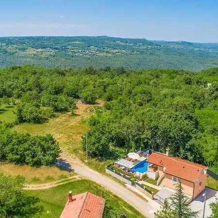 Dina Vikendica *